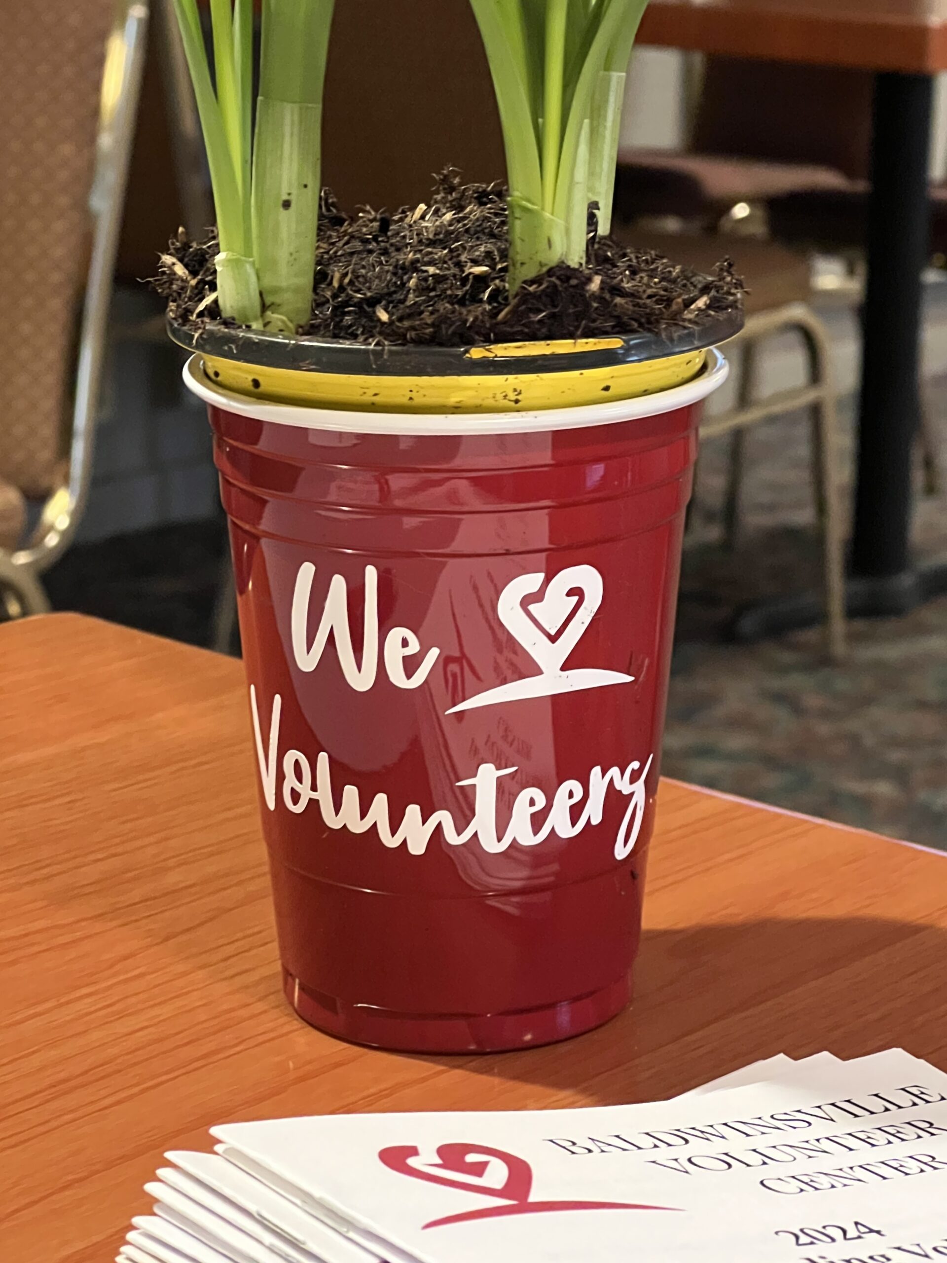 woman in red long sleeve shirt and white skirt sitting on chair